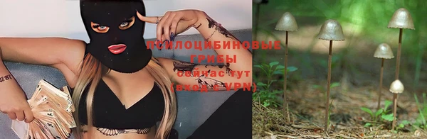 гидра Краснослободск