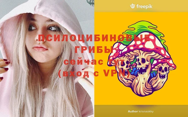 гидра Краснослободск