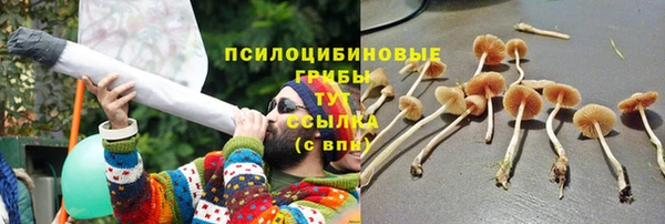 гидра Краснослободск