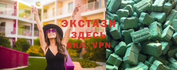 гидра Краснослободск