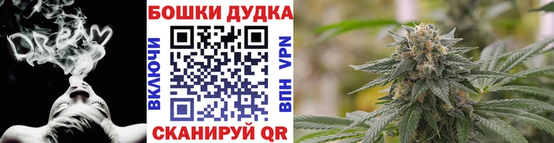 Бошки Шишки ГИДРОПОН  Купить где  Славянск-на-Кубани 